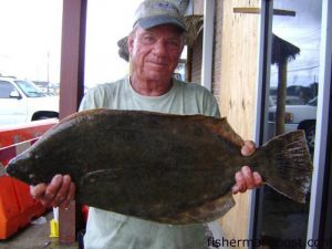 Ted Conner, of Carolina Beach, with an 11 lb. flounder that fell for a large live finger mullet in the ICW near Carolina Beach. Ted Conner, of Carolina Beach, with an 11 lb. flounder that fell for a large live finger mullet in the ICW near Carolina Beach.