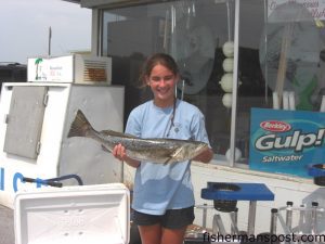 Lillian Wooten (age 12), of Kinston, NC, with a 5 lb., 12 oz. speckeld trout she hooked in the South River on a 4" New Penny Gulp Shrimp. Weighed in at Freeman's Bait and Tackle.
